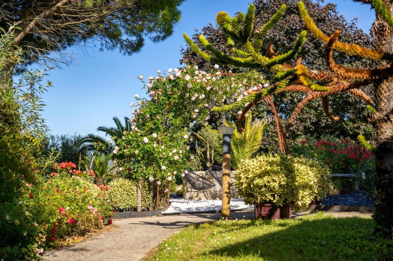 Le Bassin Du Tertre Bed & Breakfast Fronsac  Ngoại thất bức ảnh