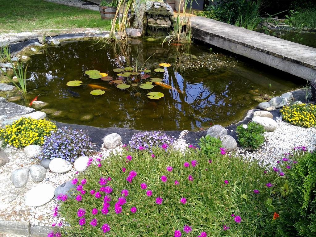 Le Bassin Du Tertre Bed & Breakfast Fronsac  Ngoại thất bức ảnh