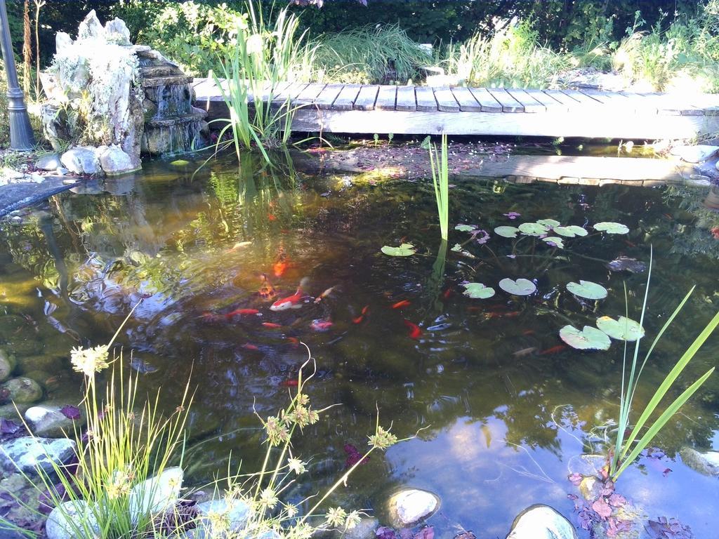 Le Bassin Du Tertre Bed & Breakfast Fronsac  Ngoại thất bức ảnh